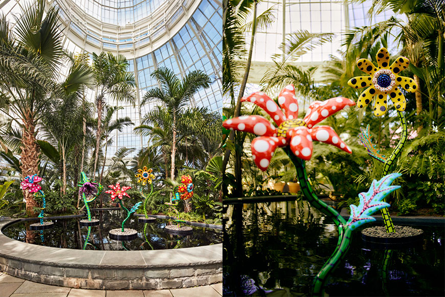 草間彌生戶外展覽《KUSAMA: COSMIC NATURE》