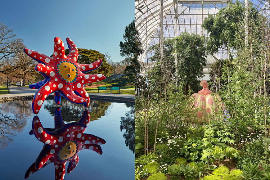 草間彌生戶外展覽《KUSAMA: COSMIC NATURE》