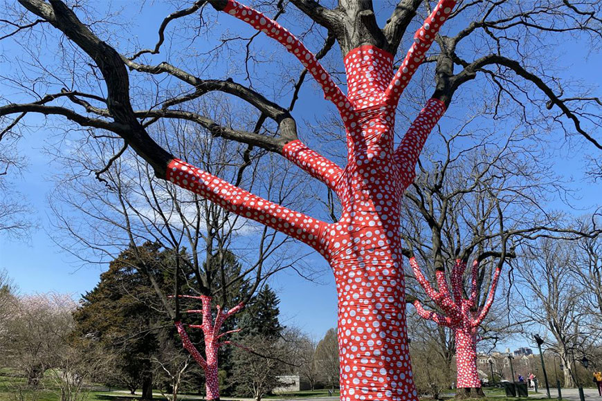 草間彌生戶外展覽《KUSAMA: COSMIC NATURE》