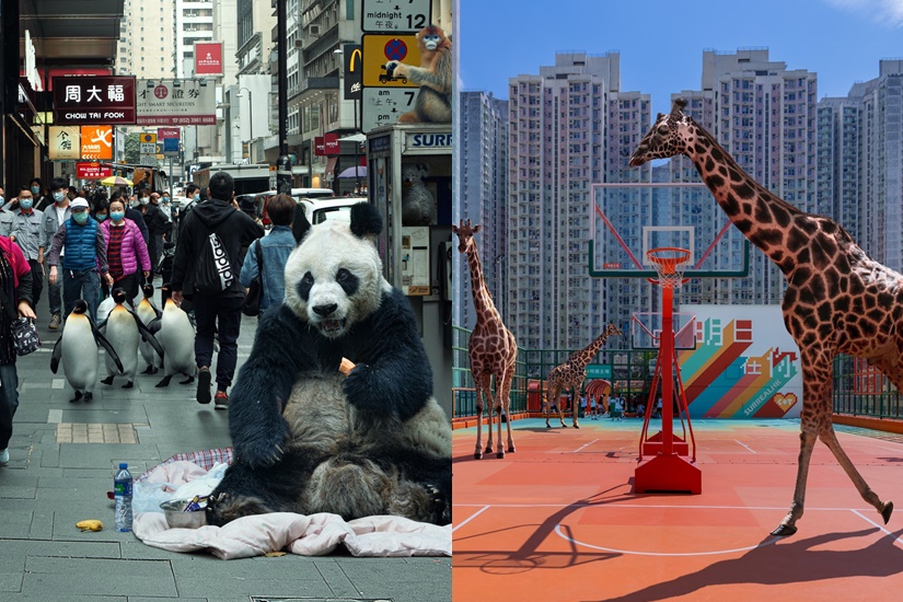 SurrealHK_Climate Change & The Housing Problem