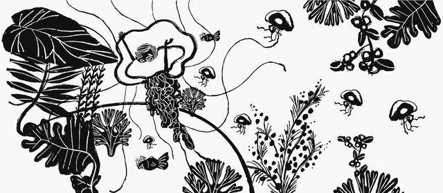 diptyque_ Mickco Chan