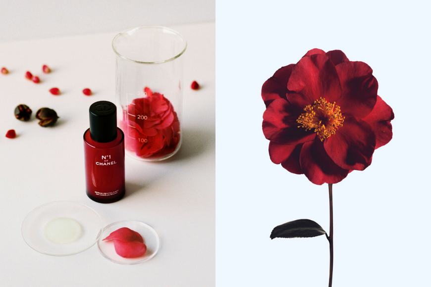 CHANEL N°1 紅山茶花系列