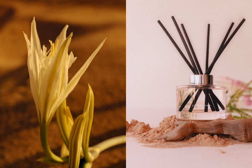 Jo Malone 2022 Blossoms 系列