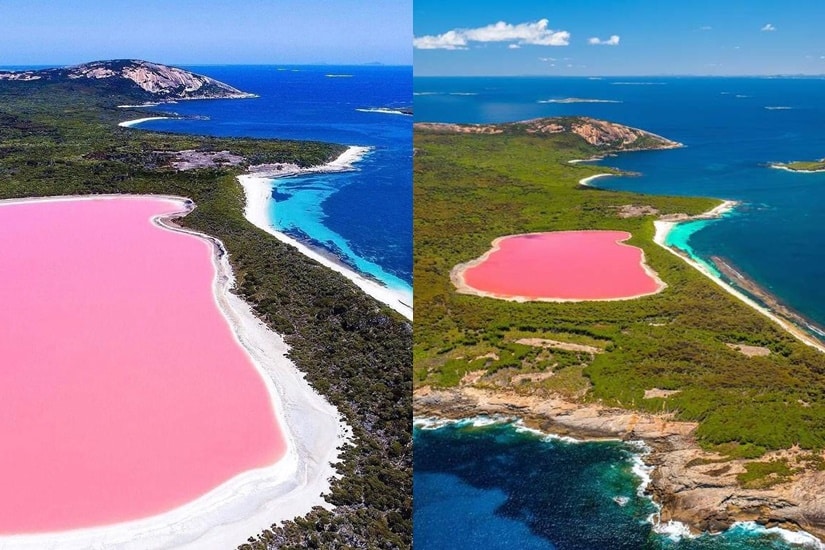 粉紅景點 - 澳洲粉紅湖