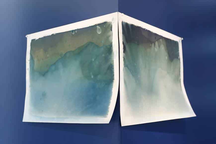 agnès b. x 陳澤雷