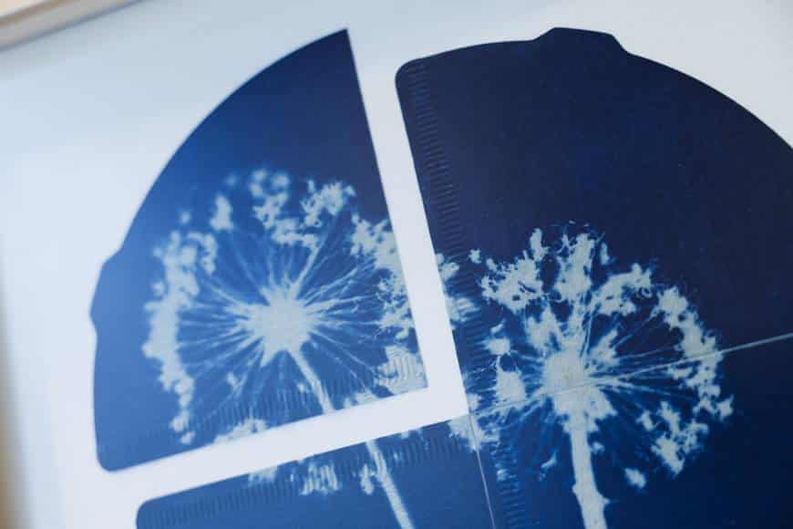 agnès b. x 陳澤雷