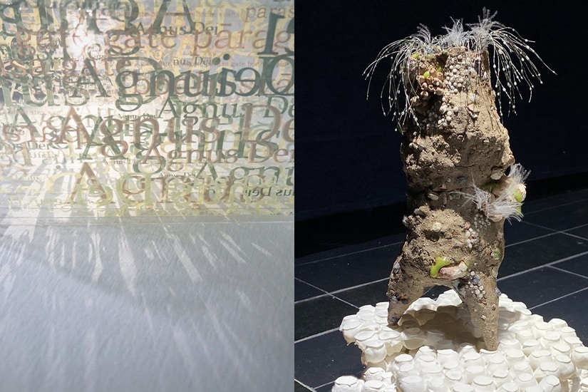 The Collectible Art Fair