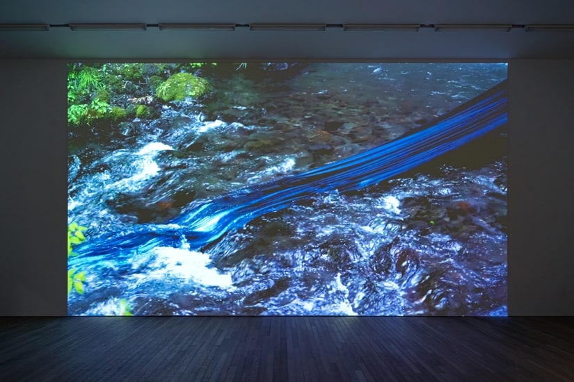 大館展覽「青蛇:女性中心的生態學」