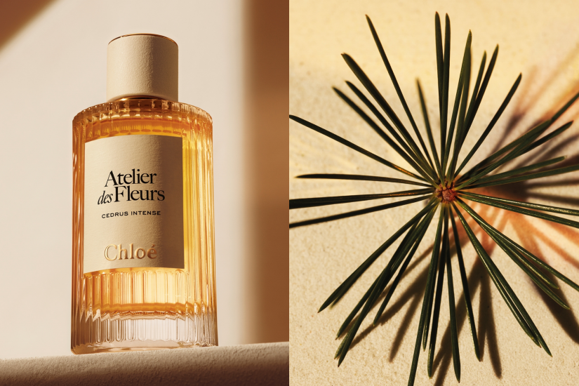 《Chloé Atelier des Fleurs 香港藝術展覽》